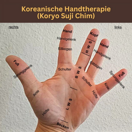 Koreanische Handtheraoie (Koryo Suji Chim)